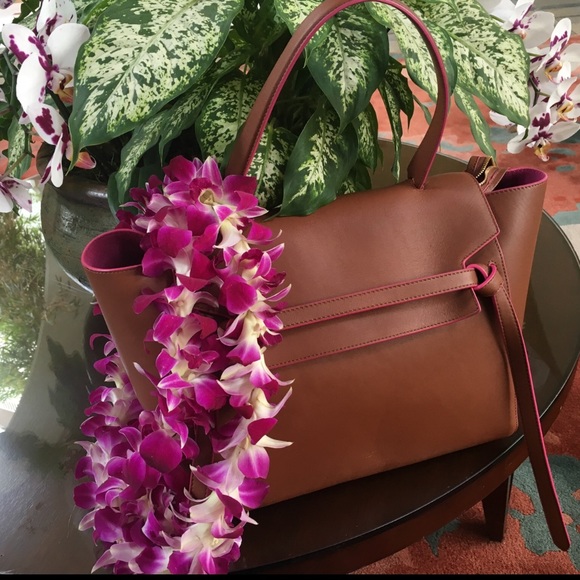 Rare Celine Camel and Pink Trim Belt Bag - Picture 2 of 8